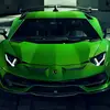 Leon Engel955 - @leonengel955 - TikTok