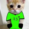 Leon🇷🇴🇷🇴): - @leon.engel11 - TikTok