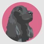 @leon_englishcocker - Instagram