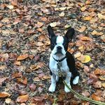 León Ernst - @leon.ernst.14 - Instagram