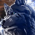Leon Ernst - @leon.ernst.3133 - Instagram