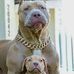 Leon Ernst - Facebook