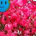 Leon Fair - Facebook