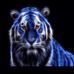 Leon Ferguson - Facebook