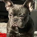 Leon fields - @zeelee164 - Instagram