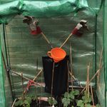 Leon P Fields - @smuggardening - Instagram