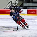 Leon 2012 🏒🇩🇪 - @leon_fischer_12 - Instagram