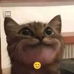 Leon Fischer RUAL>? - @lesslif671 - Instagram