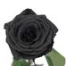 Leon Foster - Facebook