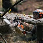 Leon Frank - @leon.frank.372 - Instagram
