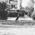 Leon Bodenbach - @leon.freekick - Instagram