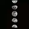 Leon.G - @leon.galla - TikTok