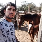 Leo Galvan - @leongalvann - Instagram
