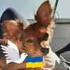 leonorgauthier - @leonorgauthier - TikTok