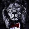 Good_Leon - @good_leon001 - TikTok