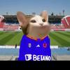 leongood - @leongood7 - TikTok