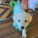 Leon Ash Hammond - @leon_the_toot - Instagram