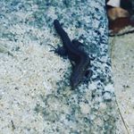 Leon Haß - @wir_zusammen110 - Instagram