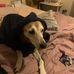 Leon Hay - Facebook