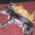Leon Haynes - Facebook