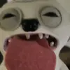 Leon Shelton - @leon.shelton6 - TikTok