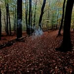 Leon Hendriks - @leonleonleonleon1975 - Instagram