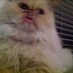 Leon Herbert - @leonherbert58 - Instagram