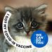 Leonie Hildreth - Facebook