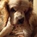 Leon Hinkle Sr. - Facebook