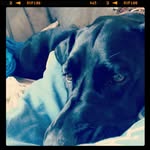 Leon Hoff - @hoffleon - Instagram