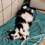 Leon Hoffmann - @pascal.hoffmann9 - Instagram
