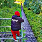 Leon holmes - @leonholmes551 - Instagram