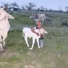 Leon Jaramillo - @leonjaramillo218 - TikTok