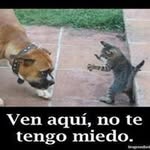 Pedro Pablo Leon Jaramillo - @leonjaramillo_pedro - Instagram