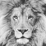@_leon_jimenez_ - Instagram