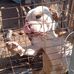 Leon Jimenez - Facebook