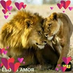 Leon Jimenez - @leon.jimenez.33234 - Instagram