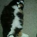 Leon Kimball - Facebook
