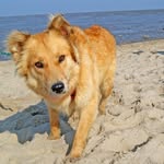 Leon Kirsch - @krischekleon - Instagram