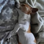 Leon Kirsch - Facebook