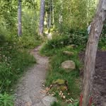 Leon Kirsch - @_l.e.o.n.k.i.r.s.c.h_ - Instagram