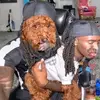 THEONLY - @leonkistoocrazy - TikTok