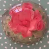Leons_kitchen__ - @leons_kitchen__ - TikTok