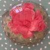 Leons_kitchen__ - @leons_kitchen__ - TikTok