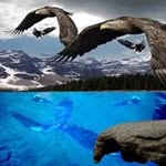 D Leon Kline - @kline2987 - Instagram