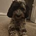 Leon Knott - Facebook