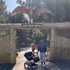 Leon Knowles - @leon.knowles0 - TikTok