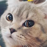 Leon_19 - @_leon_kral_ - Instagram