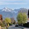 Leon - @leonkranz03 - TikTok
