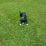 Leon Kratz - @kratz35 - Instagram